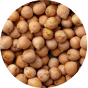 Cicer Seed